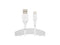 Belkin Lightning/USB Data Transfer Cable CAA001BT0MWH