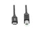 Rocstor Premium USB-C to USB-B Cable Y10C277B1