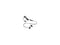 Lenovo USB-C Wired In-Ear Headphone - Stereo - USB Type C - Wired - 32 Ohm - 100
