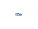 Epson UltraChrome PRO T46Y Original Ink Cartridge Yellow T46Y400