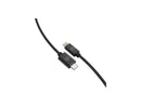 DigiPower Lightning/USB Data Transfer Cable IENBC6C2LBK