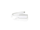 C2g 8In Mini Displayport To Hdmi Adapter-Thunderbolt To Hdmi Converter-White