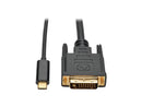 Tripp Lite USB C to DVI Adapter Converter Cable 1080p Type C to DVI 3ft