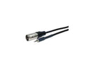 Comprehensive XLRP-MPS-25ST Standard Series XLR Plug to Stereo 3.5mm Mini Plug