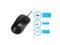 Targus USB Optical Laptop Mouse - AMU80US