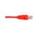 BLACK BOX CAT6PC-003-RD CAT6 250-MHZ STRANDED ETHERNET PATCH CABLE - UNSHIELDED