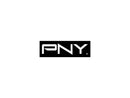 PNY 240 GB Internal Solid State Drive