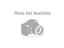 PNY Accessory MDP-DP-THREE-PCK Mini DP to DisplayPort Adapter 3Pack Retail