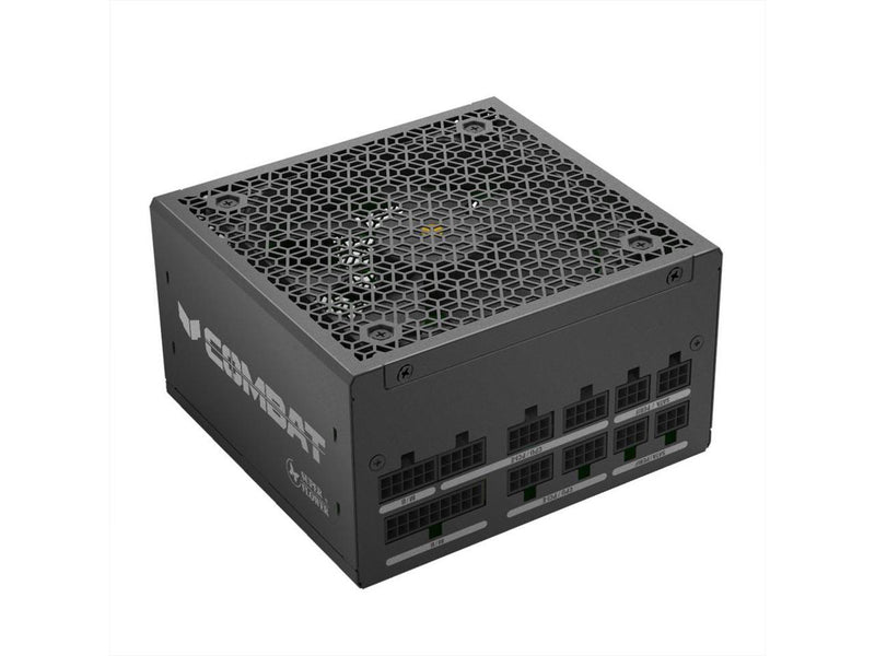 Super Flower Combat FG 750W 80+ Gold, Full Modular, ATX 3.1 / PCIe 5.0,