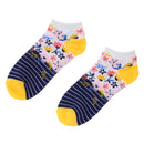 Alexa Rose Womens No Show Sock 10-PK