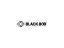 Black Box VCB-HDMI-015M High-Speed HDMI Cable - Male/Male, 15-m (49.2-ft.)