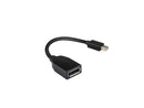 Lenovo DisplayPort Adapter 4X90L13971 DisplayPort Adapter
