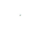 Belkin Fiber Optic Network Cable