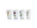 MS 4pc Mug Set