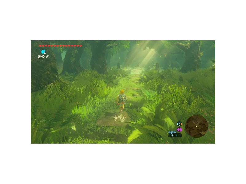 The Legend of Zelda: Breath of the Wild  Nintendo Switch 2