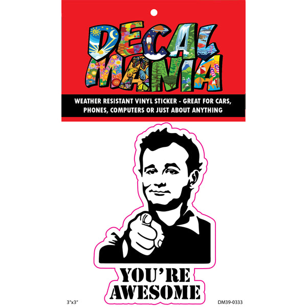 DecalMania - Youre Awesome 2PK 3 .in  De