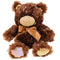 8.5 .in  Iridescent Bear Plush Assortmen