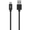 4ft USB-C to USB Cable Black