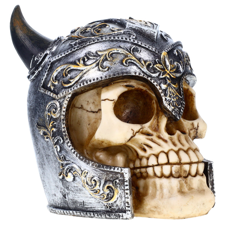 Helmet Skull
