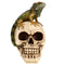 Iguana on Skull