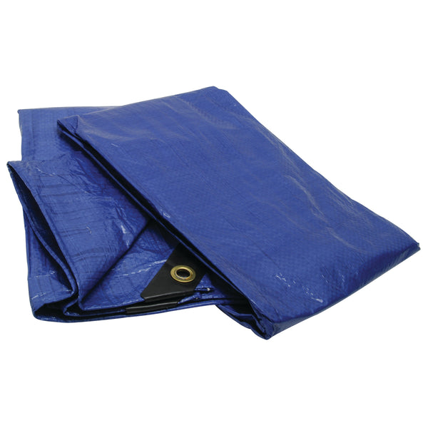 Protective Heavy-Duty Tarp Weather Resistant Strong Outdoor Canvas 4-Mil 6 Feet x 8 Feet Cover Blue RPTP-68