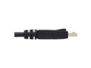 Tripp Lite P580AB-006 6ft High-Speed DisplayPort Antibacterial Cable Black
