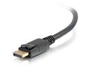 C2g Displayport/Hdmi Audio/Video Cable