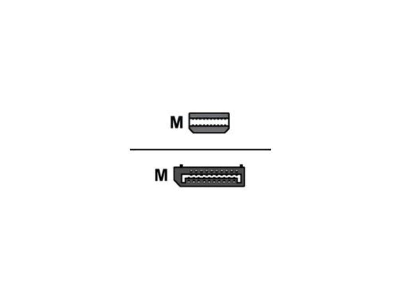 Lenovo DisplayPort Adapter 4X90L13971 DisplayPort Adapter