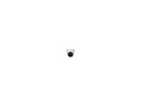 GeoVision UA-R800F2 8 Megapixel Network Camera Color Eyeball UAR800F2