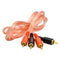 6'RCA INTERCONNECT CLEAR JACKET