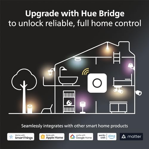 PHILIPS HUE LIGHTGUIDE G30 SMALL GLOBE SMART LED BULB - BLACK - Like New