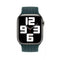 APPLE WATCH BRAIDED SOLO LOOP 45MM - RAINFOREST - SIZE 12 - RAINFOREST - Like New