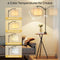 ROTTOGON Floor Lamp with Table, End Table Lamp with Remote Control and Charging - Like New