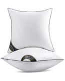 FAPO THROW PILLOW INSERTS SOFA THROW PILLOW WITH 100% COTTON COVER 2-PACK WHITE - Brand New