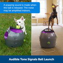 PETSAFE AUTOMATIC DOG TOY BALL LAUNCHER INTERACTIVE FOR DOGS - GRAY - Like New