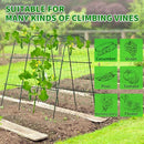 LALAHONI GARDEN TRELLIS FOR CLIMBING PLANTS OUTDOOR，BLACK H 48" x L 65" - BLACK - Like New