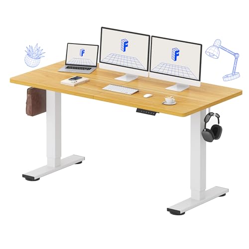 FLEXISPOT STANDING DESK ELECTRIC HEIGHT ADJUSTABLE DESK 63" x 24" EN1M-P63 - Like New