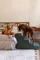 NOAH & PAW DOG STAIRS FOR LARGE DOGS, UP TO 150LB WIDE DOG RAMP, 5-STEP - GREEN - Like New