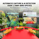 CETIE HUMMINGBIRD FEEDER CAMERA AI SMART IDENTIFICATION - RED/YELLOW/CLEAR - Like New