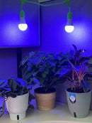 MIRACLE LED KEEP’EM ALIVE PLANT SURVIVAL GROWING KIT 4KK BLUE SPECTRUM - BLACK - Like New