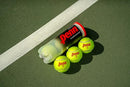 PENN CHAMPIONSHIP REGULAR DUTY FELT PRESS TENNIS BALLS 12 CANS 36 BALLS - GREEN - Like New