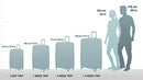 ROCKLAND LONDON HARDSIDE EXPANDABLE LUGGAGE CARRY-ON 20-INCH - - Scratch & Dent