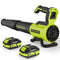 VINCHEST LEAF BLOWER CORDLESS WITH 2× 4.0AH BATTERIES AND CHARGER - GREEN - Like New