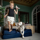 NOAH & PAW Large Dog Bed, Orthopedic Memory Cooling Foam (2X Base) - Denim Blue - Like New