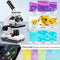 PalliPartners Compound Microscope Biological School Laboratory - Scratch & Dent