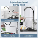 WaterSong Kitchen Faucet-WaterSong Kitchen Sink Pull-Down - Scratch & Dent