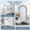 WaterSong Kitchen Faucet-WaterSong Kitchen Sink Pull-Down Faucet WS062100BN Like New