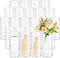 ZILINY 24 PCS 12 SETS CLEAR GLASS CYLINDER VASES - CLEAR - Like New