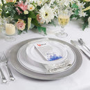BUCLA 100 Pieces Silver Plastic Plates 10.25" Silver Rim Disposable - Silver - Brand New