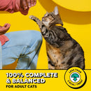 Temptations Birthday Crunchy Cat Treats, Lobster & Beef, 6.3 oz, 10 Pack - Brand New